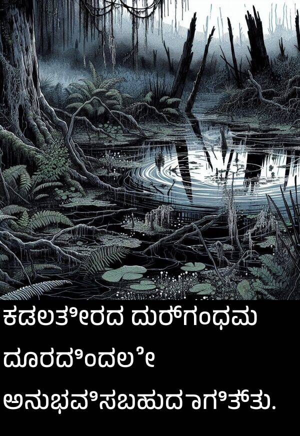 ಅನುಭವಿಸಬಹುದಾಗಿತ್ತು: ಕಡಲತೀರದ ದುರ್ಗಂಧವು ದೂರದಿಂದಲೇ ಅನುಭವಿಸಬಹುದಾಗಿತ್ತು.