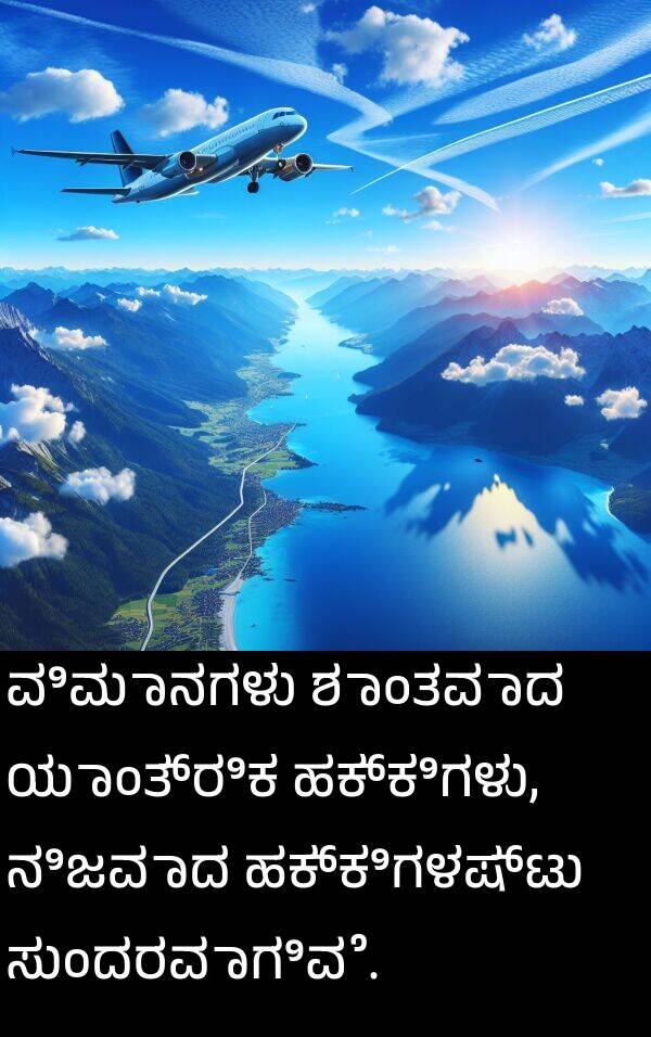 ಶಾಂತವಾದ: ವಿಮಾನಗಳು ಶಾಂತವಾದ ಯಾಂತ್ರಿಕ ಹಕ್ಕಿಗಳು, ನಿಜವಾದ ಹಕ್ಕಿಗಳಷ್ಟು ಸುಂದರವಾಗಿವೆ.