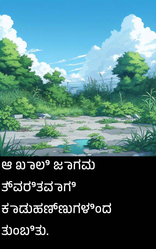 ಖಾಲಿ: ಆ ಖಾಲಿ ಜಾಗವು ತ್ವರಿತವಾಗಿ ಕಾಡುಹಣ್ಣುಗಳಿಂದ ತುಂಬಿತು.