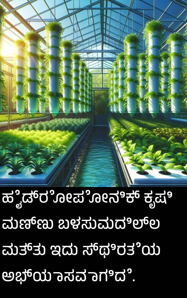 ಇದು: ಹೈಡ್ರೋಪೋನಿಕ್ ಕೃಷಿ ಮಣ್ಣು ಬಳಸುವುದಿಲ್ಲ ಮತ್ತು ಇದು ಸ್ಥಿರತೆಯ ಅಭ್ಯಾಸವಾಗಿದೆ.
