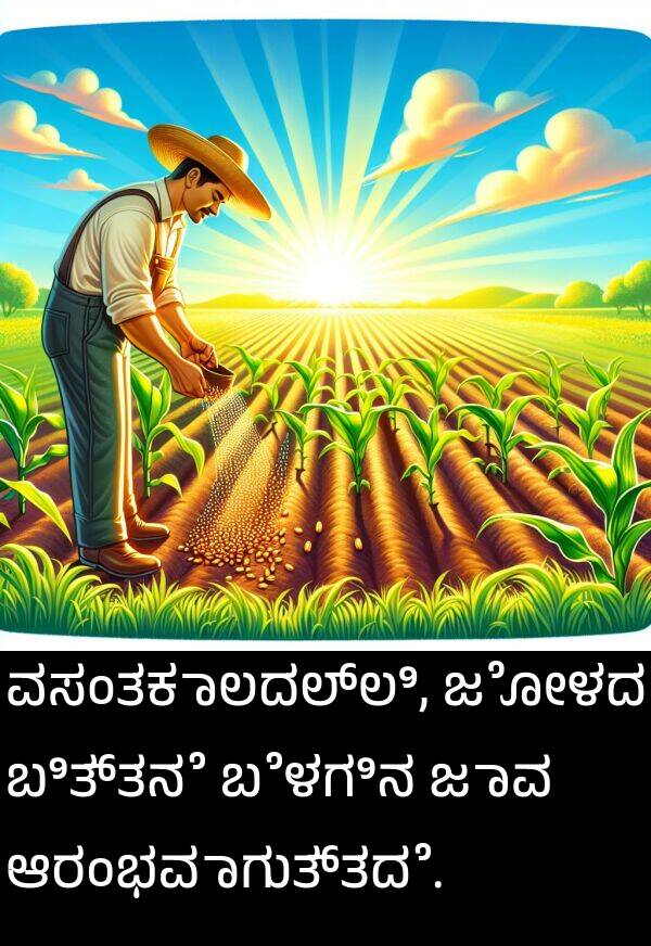 ವಸಂತಕಾಲದಲ್ಲಿ: ವಸಂತಕಾಲದಲ್ಲಿ, ಜೋಳದ ಬಿತ್ತನೆ ಬೆಳಗಿನ ಜಾವ ಆರಂಭವಾಗುತ್ತದೆ.