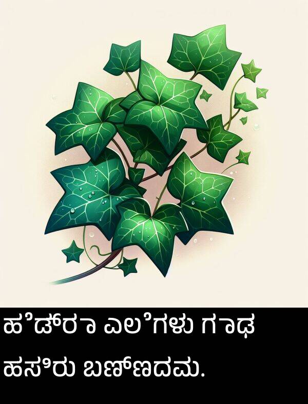 ಗಾಢ: ಹೆಡ್ರಾ ಎಲೆಗಳು ಗಾಢ ಹಸಿರು ಬಣ್ಣದವು.