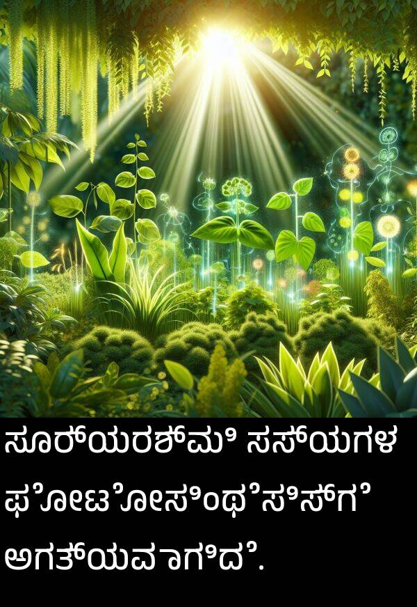 ಫೋಟೋಸಿಂಥೆಸಿಸ್‌ಗೆ: ಸೂರ್ಯರಶ್ಮಿ ಸಸ್ಯಗಳ ಫೋಟೋಸಿಂಥೆಸಿಸ್‌ಗೆ ಅಗತ್ಯವಾಗಿದೆ.