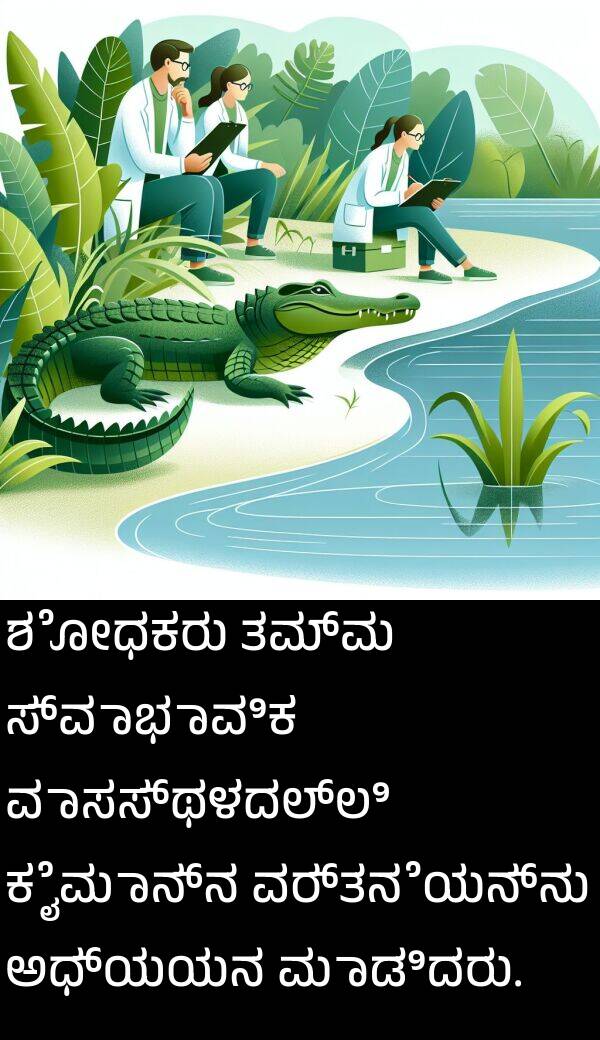 ವರ್ತನೆಯನ್ನು: ಶೋಧಕರು ತಮ್ಮ ಸ್ವಾಭಾವಿಕ ವಾಸಸ್ಥಳದಲ್ಲಿ ಕೈಮಾನ್‌ನ ವರ್ತನೆಯನ್ನು ಅಧ್ಯಯನ ಮಾಡಿದರು.