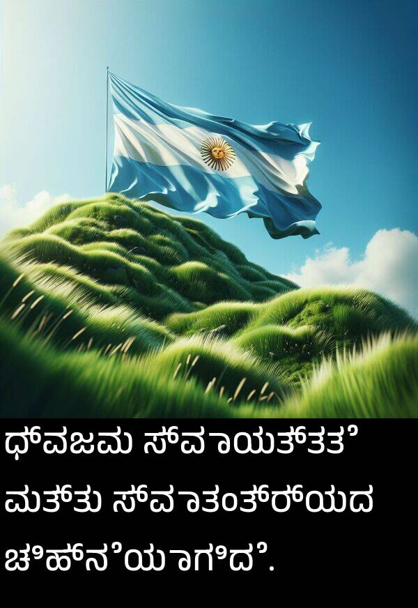ಸ್ವಾತಂತ್ರ್ಯದ: ಧ್ವಜವು ಸ್ವಾಯತ್ತತೆ ಮತ್ತು ಸ್ವಾತಂತ್ರ್ಯದ ಚಿಹ್ನೆಯಾಗಿದೆ.