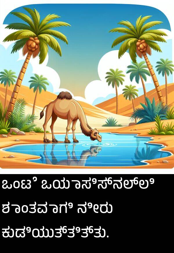 ಕುಡಿಯುತ್ತಿತ್ತು: ಒಂಟೆ ಒಯಾಸಿಸ್‌ನಲ್ಲಿ ಶಾಂತವಾಗಿ ನೀರು ಕುಡಿಯುತ್ತಿತ್ತು.