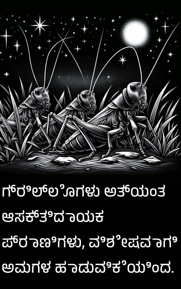 ವಿಶೇಷವಾಗಿ: ಗ್ರಿಲ್ಲೊಗಳು ಅತ್ಯಂತ ಆಸಕ್ತಿದಾಯಕ ಪ್ರಾಣಿಗಳು, ವಿಶೇಷವಾಗಿ ಅವುಗಳ ಹಾಡುವಿಕೆಯಿಂದ.
