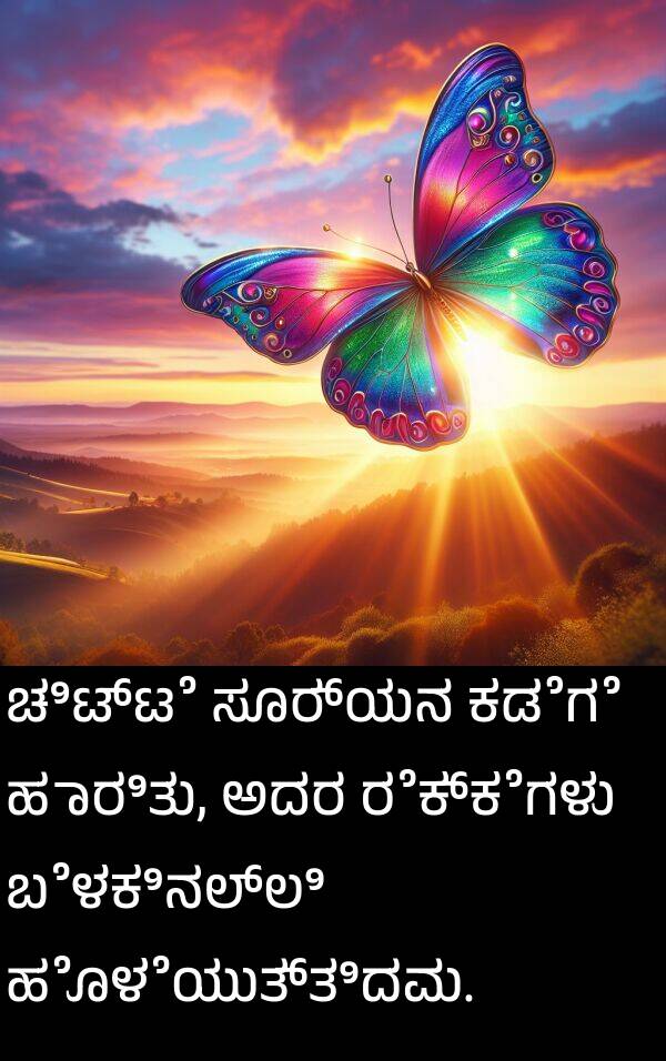 ಬೆಳಕಿನಲ್ಲಿ: ಚಿಟ್ಟೆ ಸೂರ್ಯನ ಕಡೆಗೆ ಹಾರಿತು, ಅದರ ರೆಕ್ಕೆಗಳು ಬೆಳಕಿನಲ್ಲಿ ಹೊಳೆಯುತ್ತಿದವು.