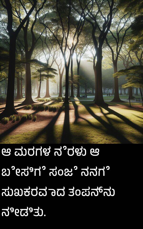 ತಂಪನ್ನು: ಆ ಮರಗಳ ನೆರಳು ಆ ಬೇಸಿಗೆ ಸಂಜೆ ನನಗೆ ಸುಖಕರವಾದ ತಂಪನ್ನು ನೀಡಿತು.