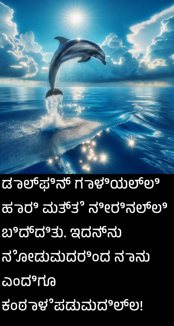 ಇದನ್ನು: ಡಾಲ್ಫಿನ್ ಗಾಳಿಯಲ್ಲಿ ಹಾರಿ ಮತ್ತೆ ನೀರಿನಲ್ಲಿ ಬಿದ್ದಿತು. ಇದನ್ನು ನೋಡುವುದರಿಂದ ನಾನು ಎಂದಿಗೂ ಕಂಠಾಳೆಪಡುವುದಿಲ್ಲ!