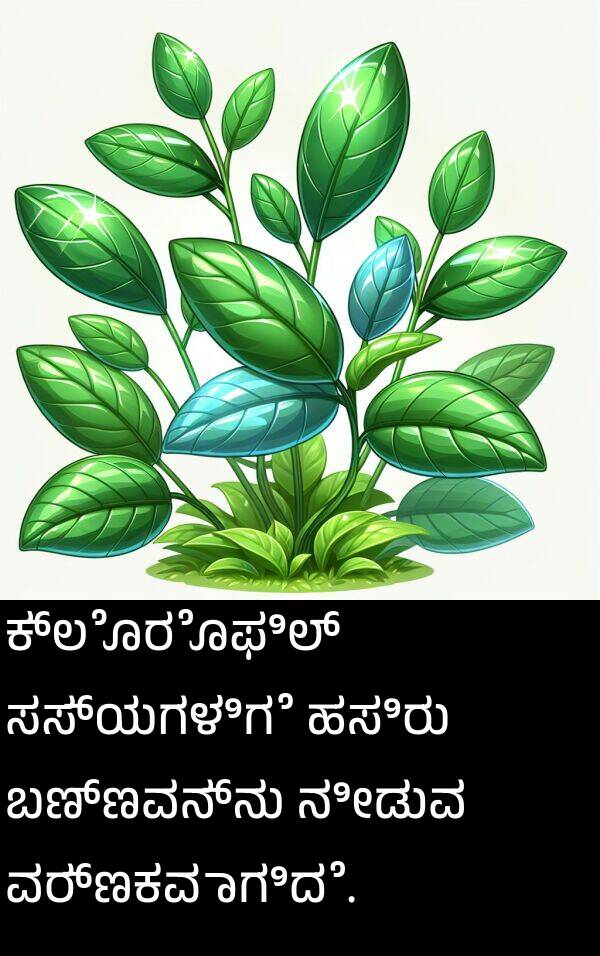 ಬಣ್ಣವನ್ನು: ಕ್ಲೊರೊಫಿಲ್ ಸಸ್ಯಗಳಿಗೆ ಹಸಿರು ಬಣ್ಣವನ್ನು ನೀಡುವ ವರ್ಣಕವಾಗಿದೆ.