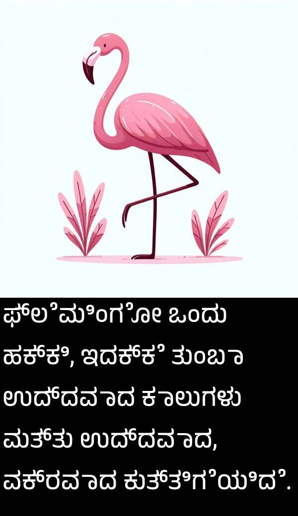 ವಕ್ರವಾದ: ಫ್ಲೆಮಿಂಗೋ ಒಂದು ಹಕ್ಕಿ, ಇದಕ್ಕೆ ತುಂಬಾ ಉದ್ದವಾದ ಕಾಲುಗಳು ಮತ್ತು ಉದ್ದವಾದ, ವಕ್ರವಾದ ಕುತ್ತಿಗೆಯಿದೆ.