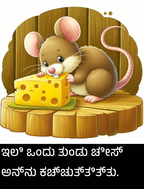 ತುಂಡು: ಇಲಿ ಒಂದು ತುಂಡು ಚೀಸ್ ಅನ್ನು ಕಚ್ಚುತ್ತಿತ್ತು.