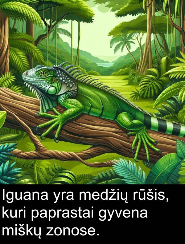 zonose: Iguana yra medžių rūšis, kuri paprastai gyvena miškų zonose.
