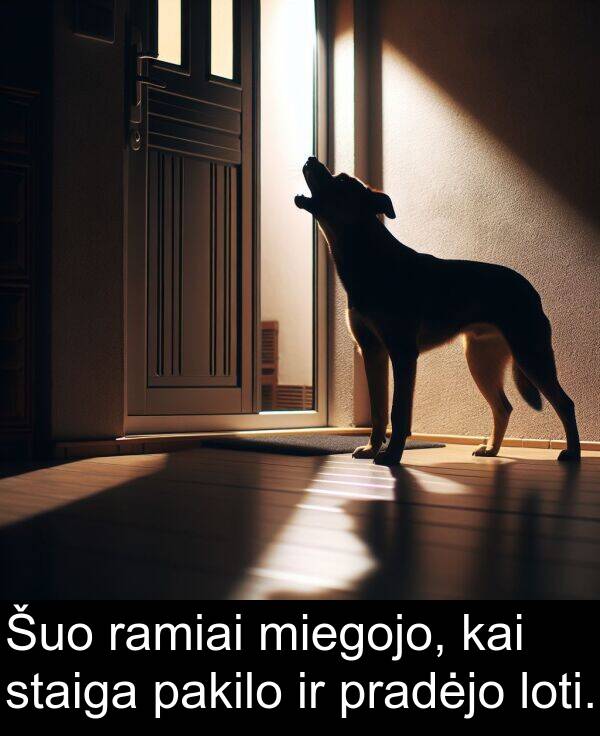 ramiai: Šuo ramiai miegojo, kai staiga pakilo ir pradėjo loti.