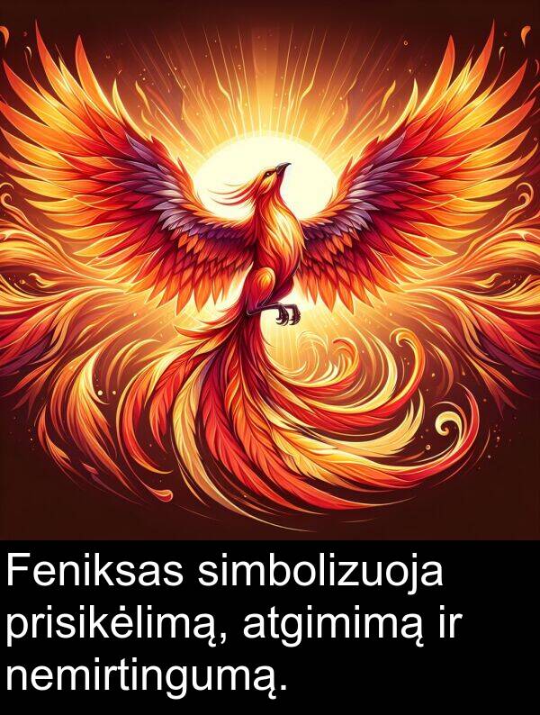 atgimimą: Feniksas simbolizuoja prisikėlimą, atgimimą ir nemirtingumą.