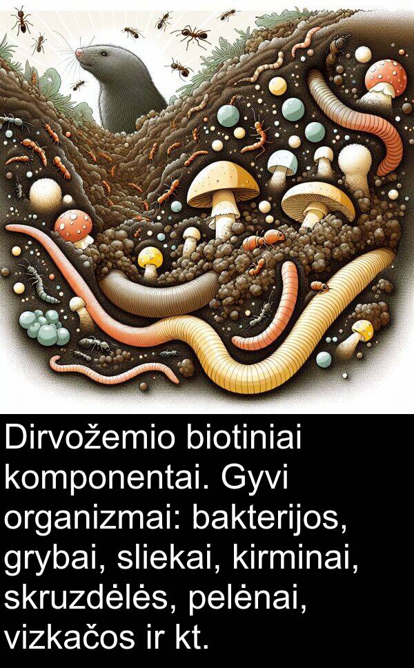bakterijos: Dirvožemio biotiniai komponentai. Gyvi organizmai: bakterijos, grybai, sliekai, kirminai, skruzdėlės, pelėnai, vizkačos ir kt.