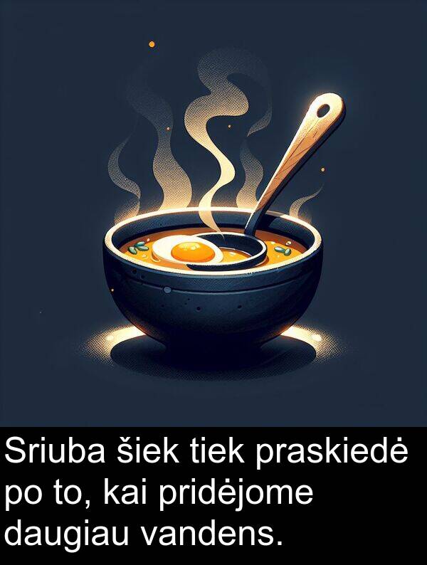 pridėjome: Sriuba šiek tiek praskiedė po to, kai pridėjome daugiau vandens.