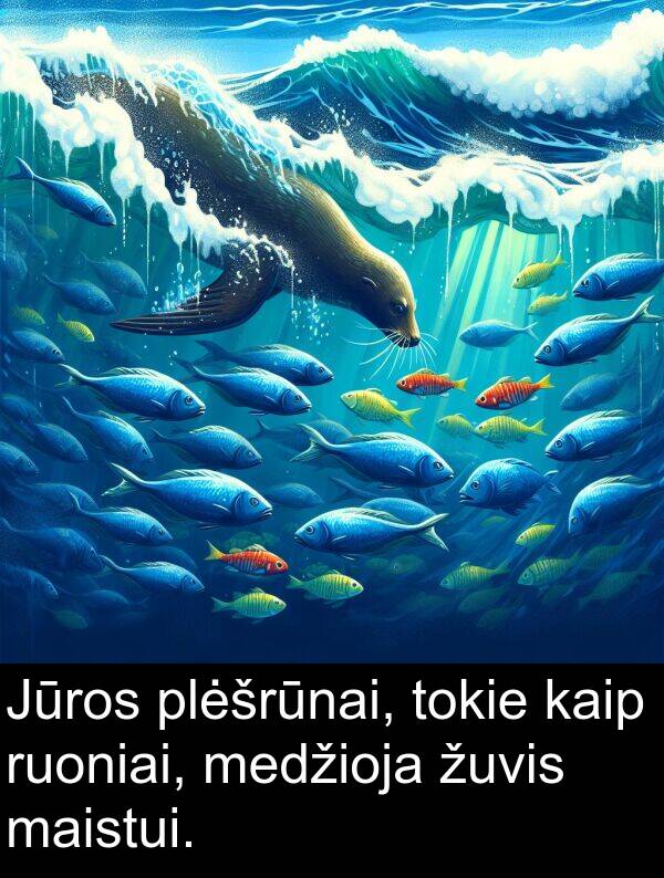 maistui: Jūros plėšrūnai, tokie kaip ruoniai, medžioja žuvis maistui.