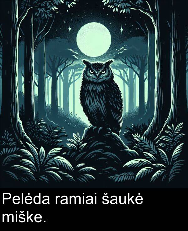 ramiai: Pelėda ramiai šaukė miške.