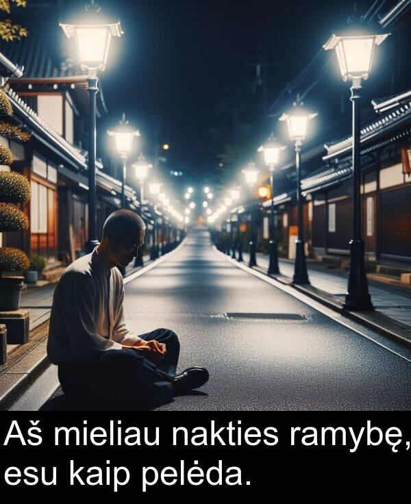 nakties: Aš mieliau nakties ramybę, esu kaip pelėda.