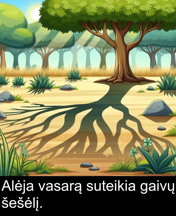 šešėlį: Alėja vasarą suteikia gaivų šešėlį.