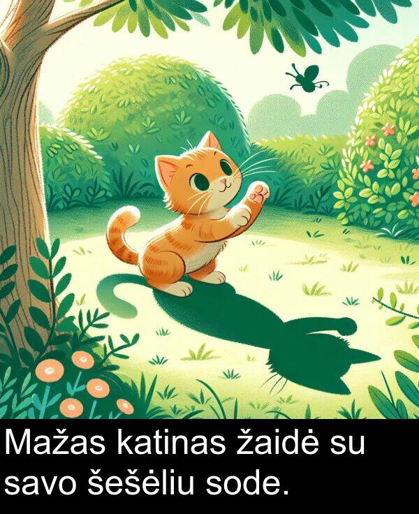 žaidė: Mažas katinas žaidė su savo šešėliu sode.