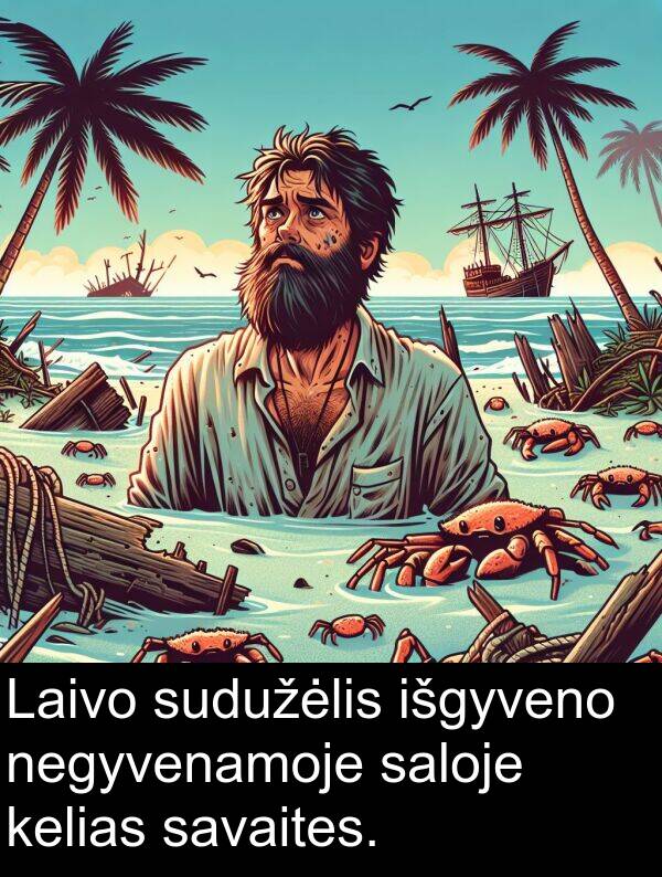 saloje: Laivo sudužėlis išgyveno negyvenamoje saloje kelias savaites.