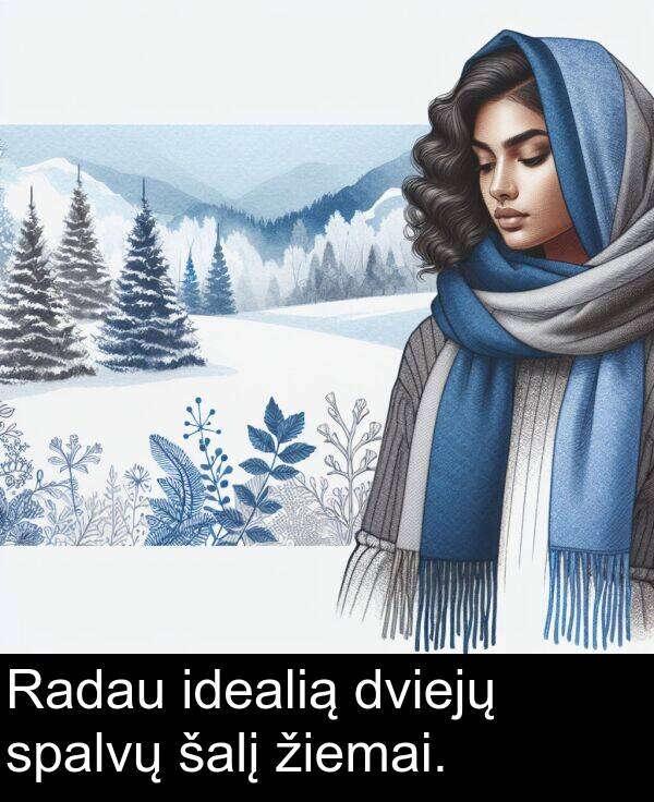 šalį: Radau idealią dviejų spalvų šalį žiemai.