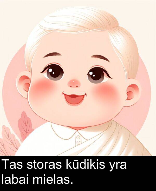 labai: Tas storas kūdikis yra labai mielas.