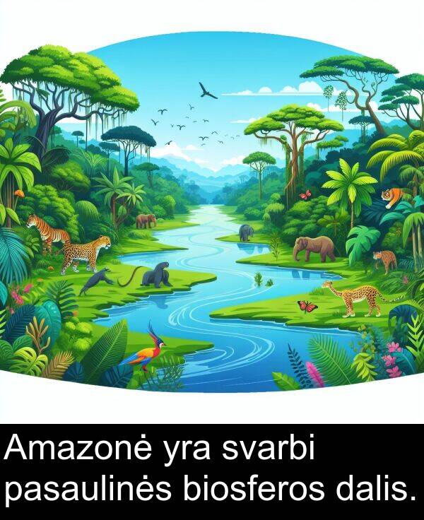 dalis: Amazonė yra svarbi pasaulinės biosferos dalis.