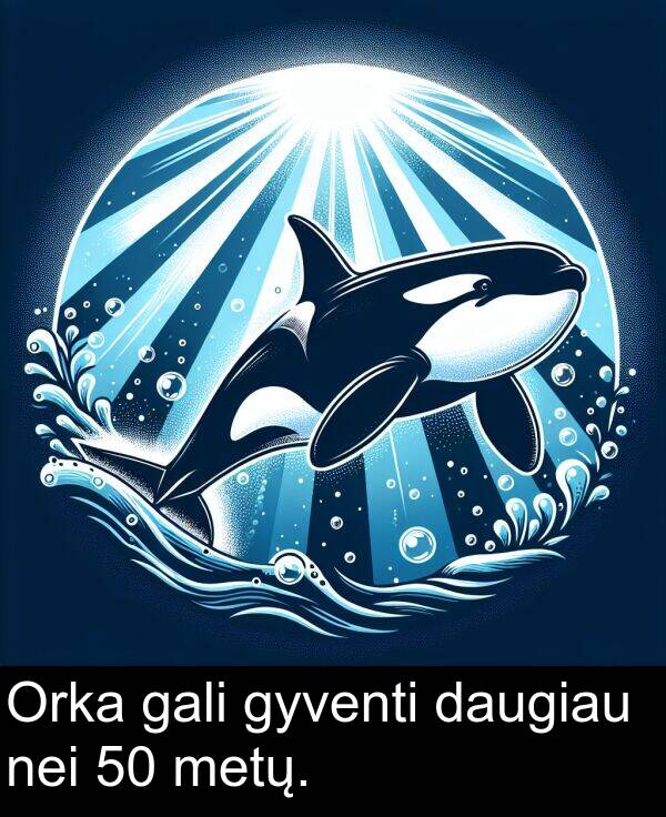 gali: Orka gali gyventi daugiau nei 50 metų.