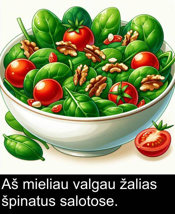 žalias: Aš mieliau valgau žalias špinatus salotose.