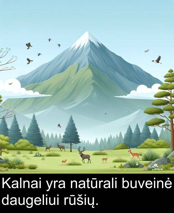 natūrali: Kalnai yra natūrali buveinė daugeliui rūšių.