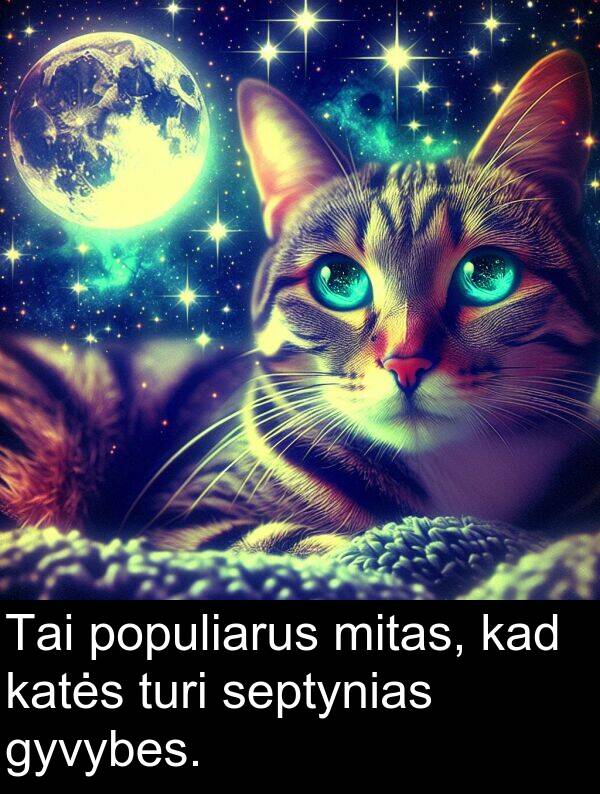 populiarus: Tai populiarus mitas, kad katės turi septynias gyvybes.