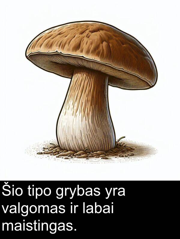 maistingas: Šio tipo grybas yra valgomas ir labai maistingas.