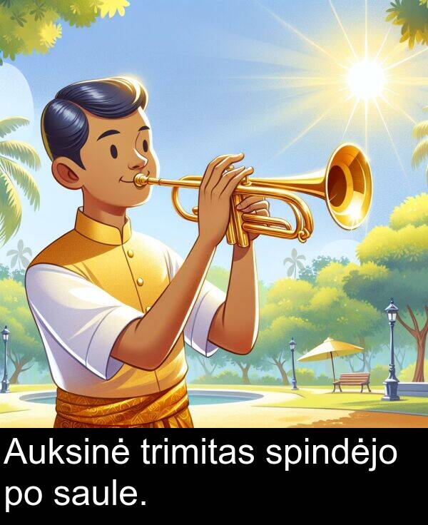 trimitas: Auksinė trimitas spindėjo po saule.
