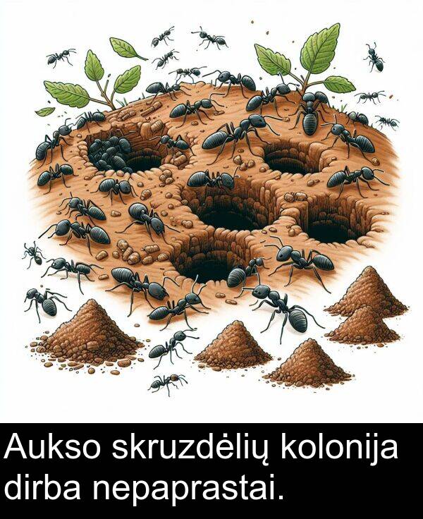 dirba: Aukso skruzdėlių kolonija dirba nepaprastai.