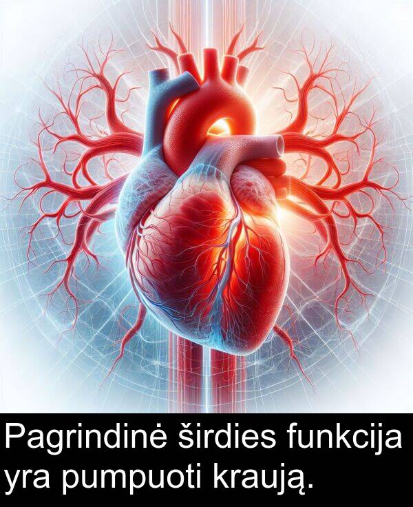 funkcija: Pagrindinė širdies funkcija yra pumpuoti kraują.