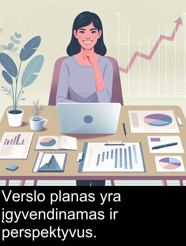 įgyvendinamas: Verslo planas yra įgyvendinamas ir perspektyvus.
