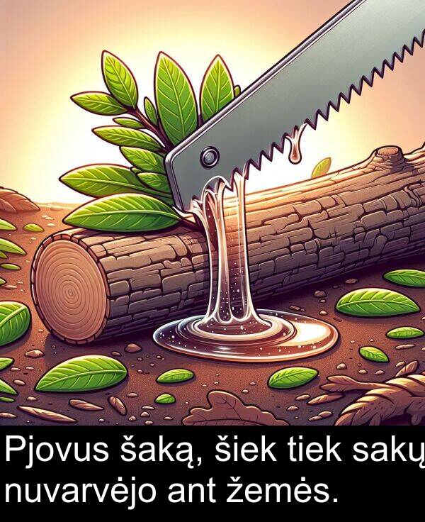 sakų: Pjovus šaką, šiek tiek sakų nuvarvėjo ant žemės.