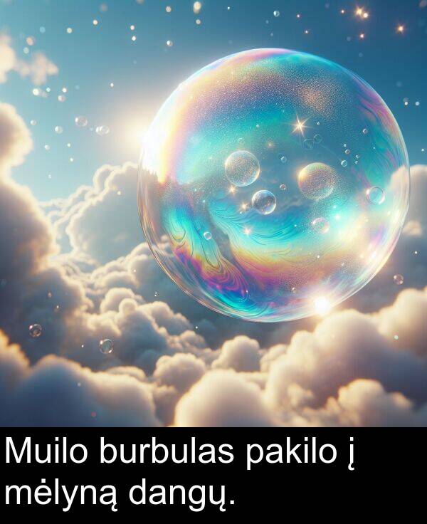 dangų: Muilo burbulas pakilo į mėlyną dangų.