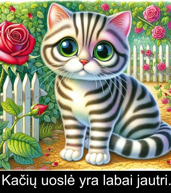 labai: Kačių uoslė yra labai jautri.
