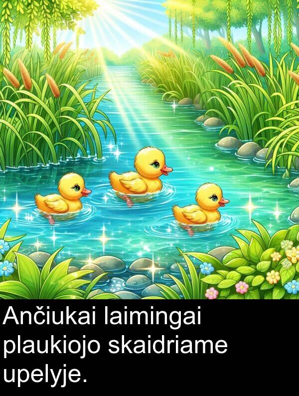 laimingai: Ančiukai laimingai plaukiojo skaidriame upelyje.