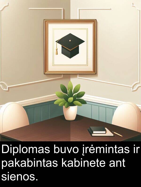 kabinete: Diplomas buvo įrėmintas ir pakabintas kabinete ant sienos.