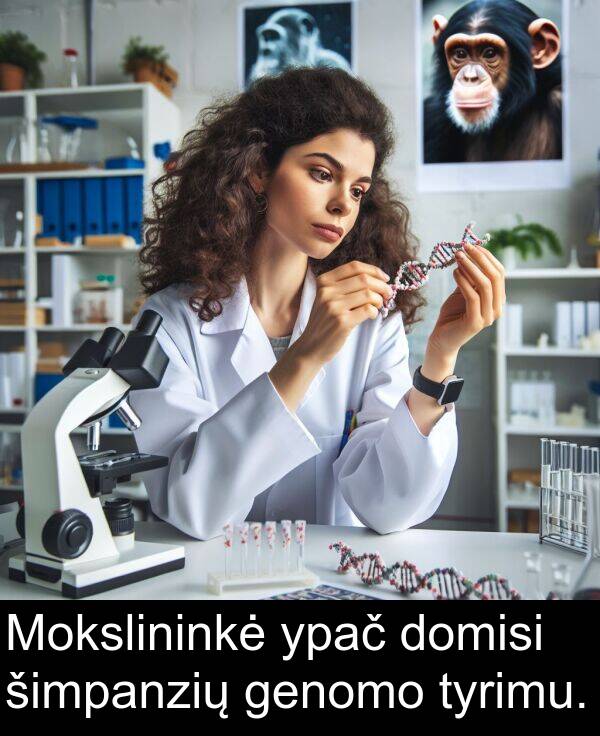 tyrimu: Mokslininkė ypač domisi šimpanzių genomo tyrimu.