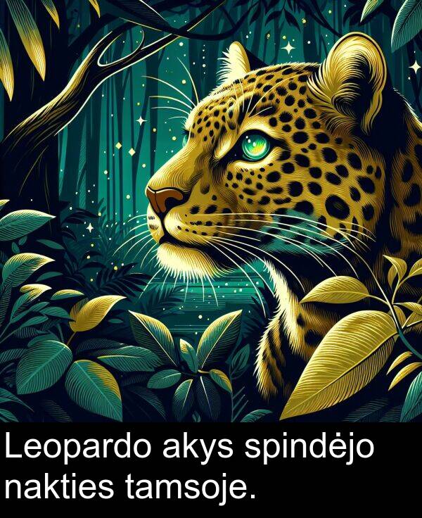 nakties: Leopardo akys spindėjo nakties tamsoje.