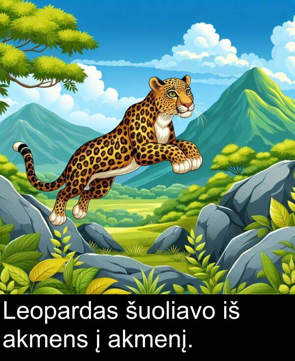 akmens: Leopardas šuoliavo iš akmens į akmenį.
