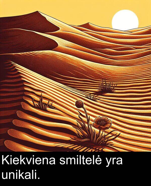 unikali: Kiekviena smiltelė yra unikali.