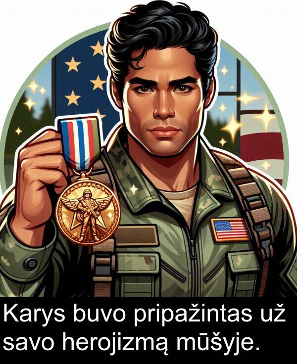herojizmą: Karys buvo pripažintas už savo herojizmą mūšyje.